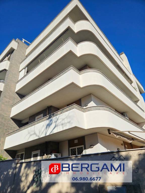 appartamento in affitto a Nettuno