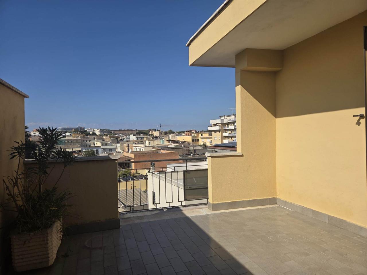 appartamento in affitto a Nettuno