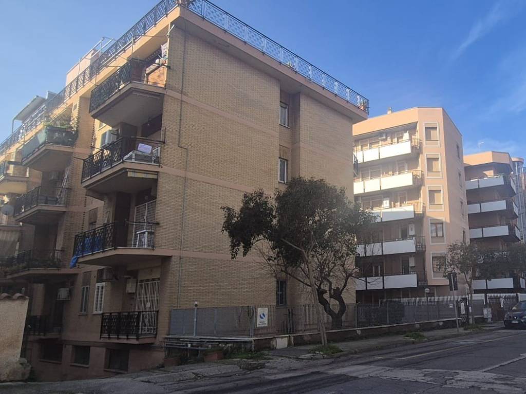 appartamento in affitto a Nettuno