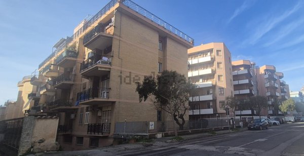 appartamento in affitto a Nettuno