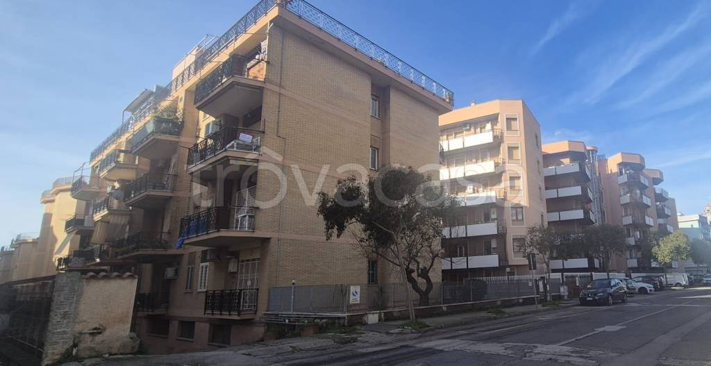 appartamento in affitto a Nettuno