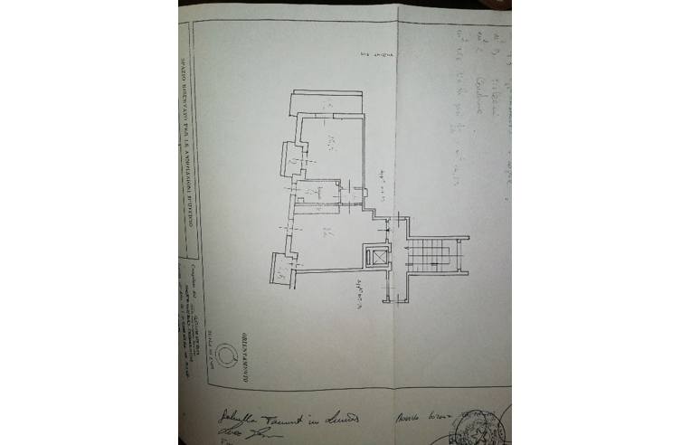 appartamento in affitto a Nettuno