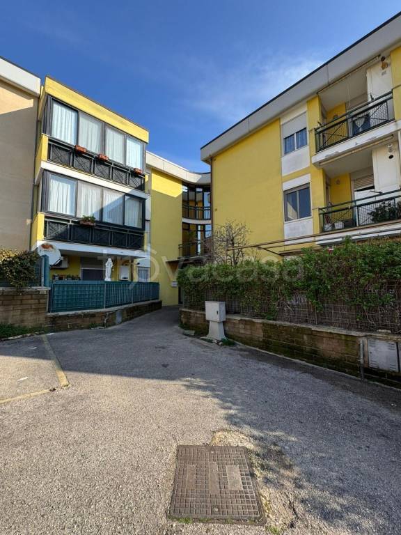 appartamento in affitto a Nettuno