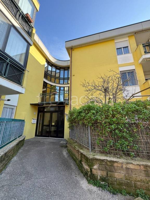 appartamento in affitto a Nettuno