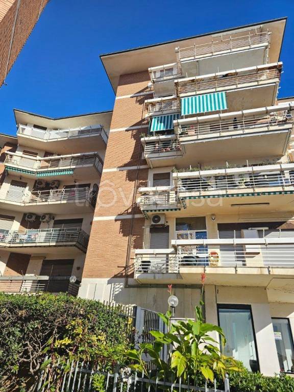 appartamento in affitto a Nettuno