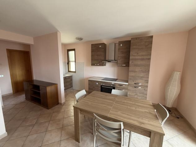 appartamento in affitto a Nettuno