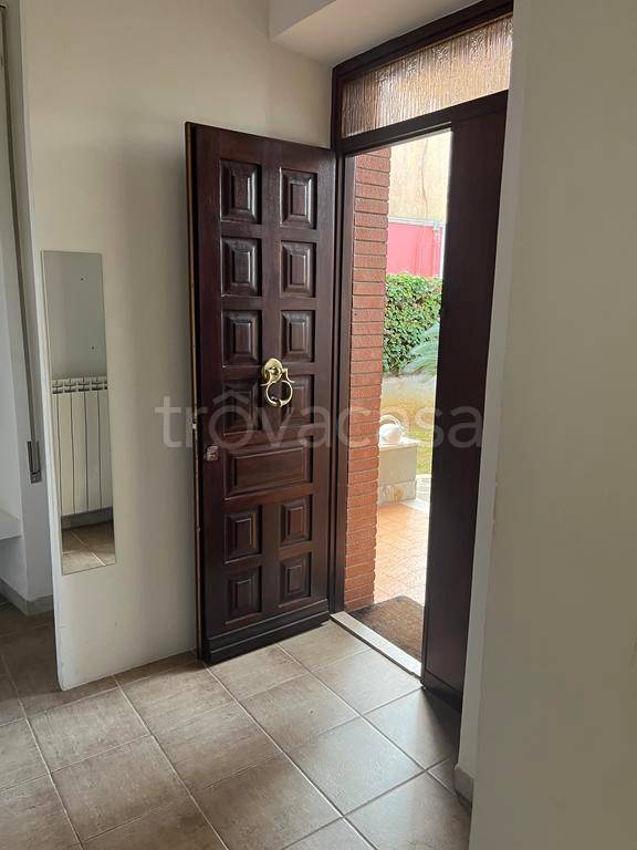 appartamento in affitto a Nettuno