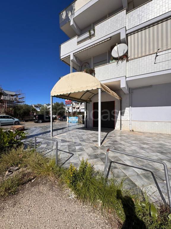 negozio in affitto a Nettuno