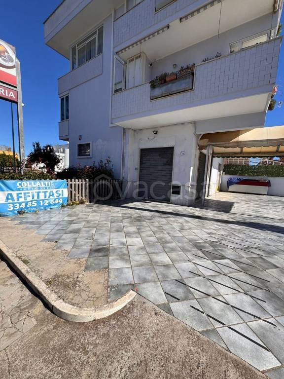 negozio in affitto a Nettuno