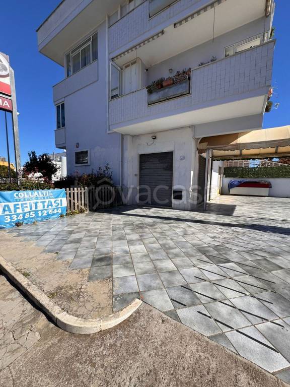 negozio in affitto a Nettuno