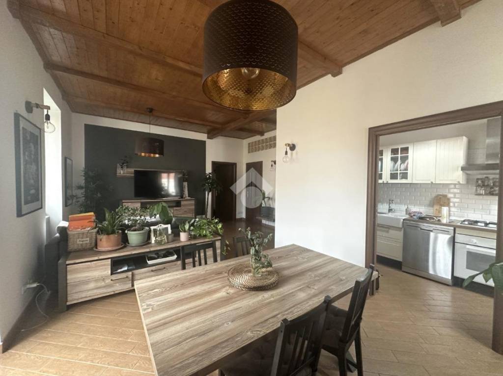 appartamento in affitto a Nettuno