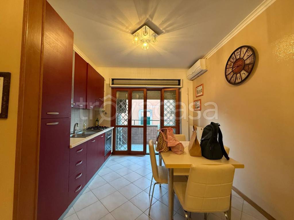 appartamento in affitto a Nettuno