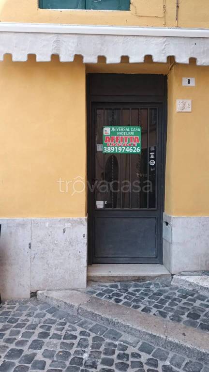 negozio in affitto a Nettuno