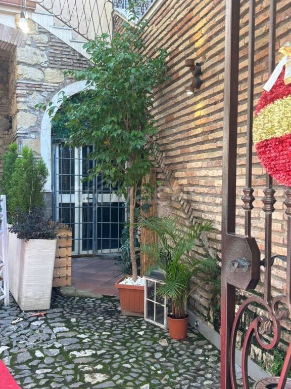 negozio in affitto a Nettuno