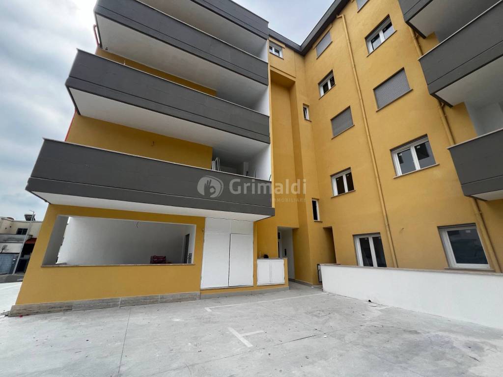 appartamento in affitto a Nettuno