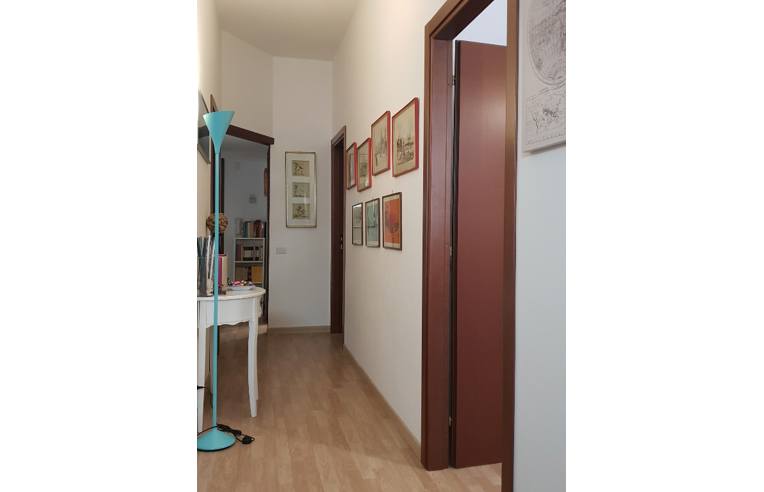 appartamento in affitto a Nettuno