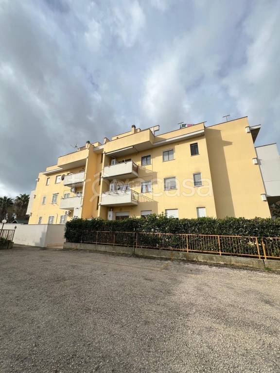 appartamento in affitto a Nettuno