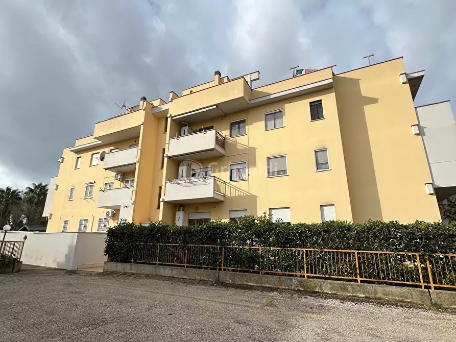 appartamento in affitto a Nettuno