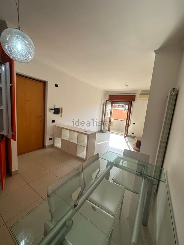 appartamento in affitto a Nettuno