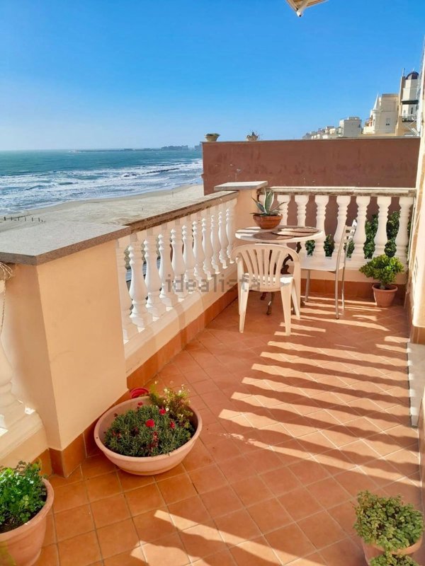 appartamento in affitto a Nettuno