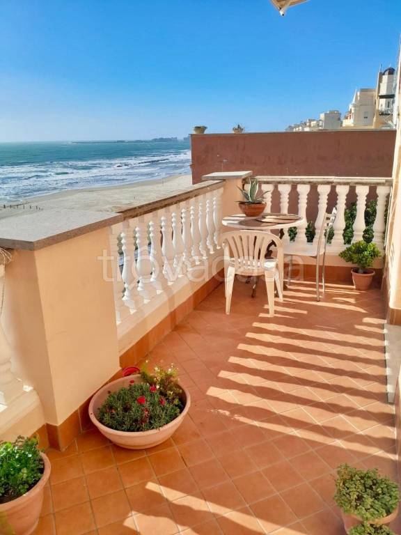 appartamento in affitto a Nettuno