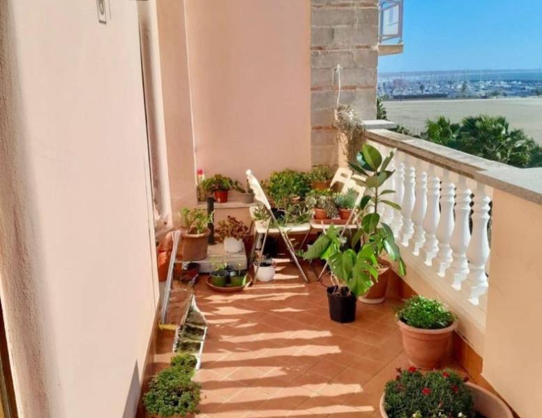 appartamento in affitto a Nettuno