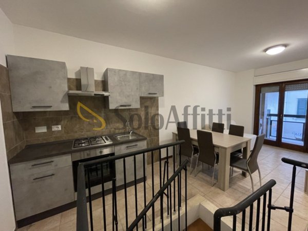 appartamento in affitto a Nettuno