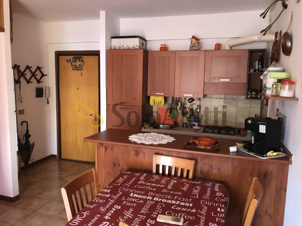 appartamento in affitto a Nettuno