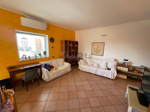 appartamento in affitto a Nettuno