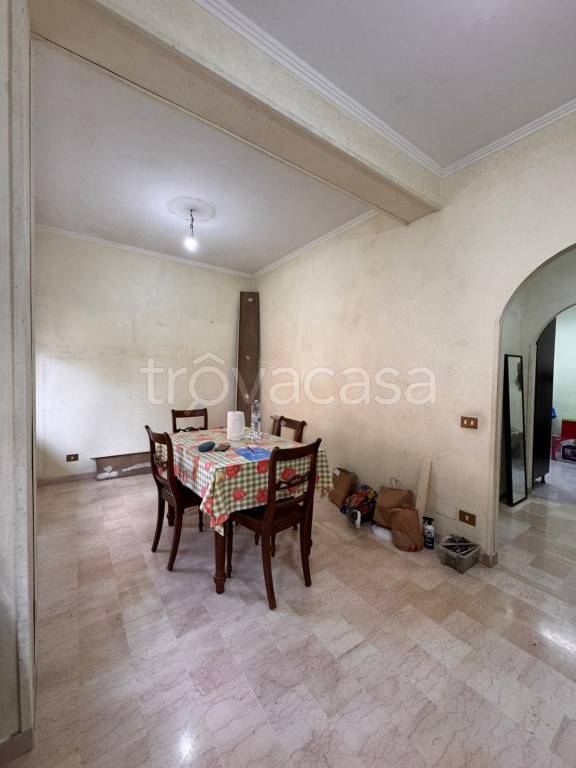 appartamento in affitto a Nettuno