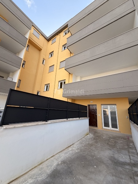 appartamento in affitto a Nettuno