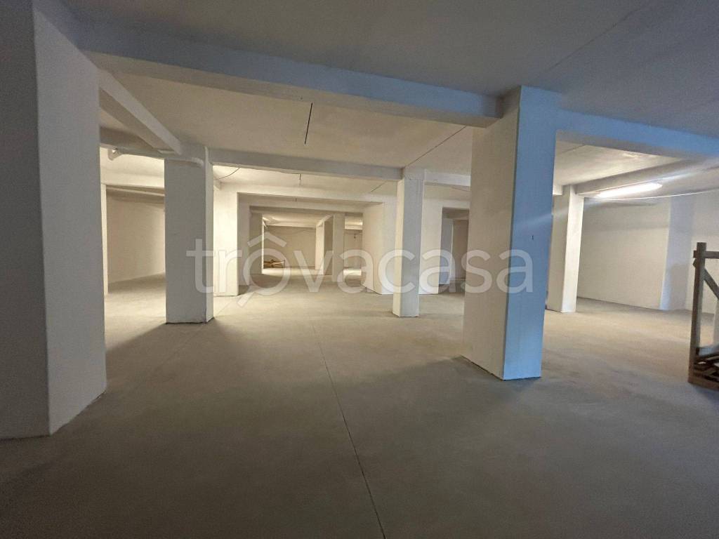 negozio in affitto a Nettuno