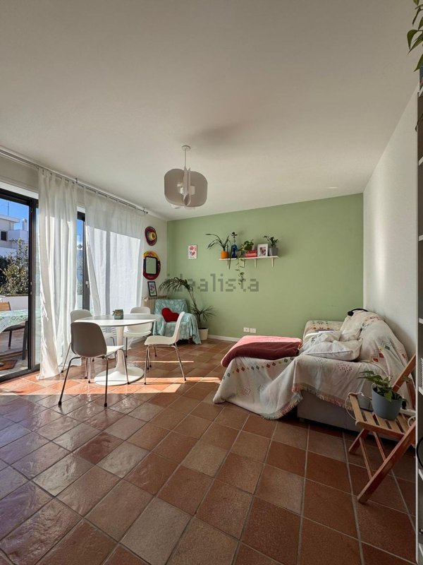 appartamento in affitto a Nettuno