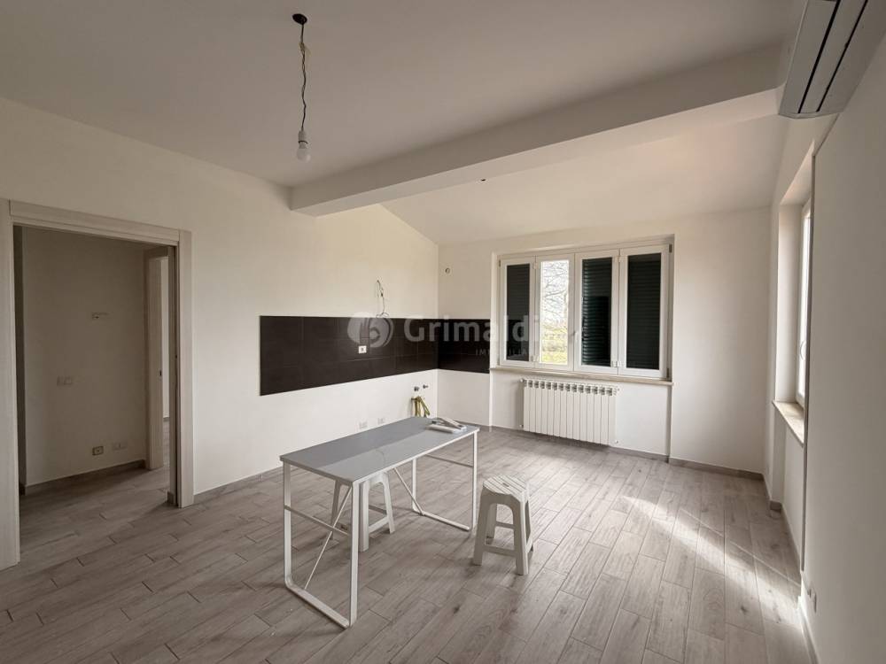 appartamento in affitto a Nettuno