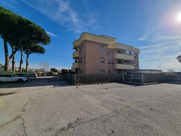 appartamento in affitto a Nettuno