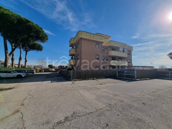 appartamento in affitto a Nettuno in zona Padiglione