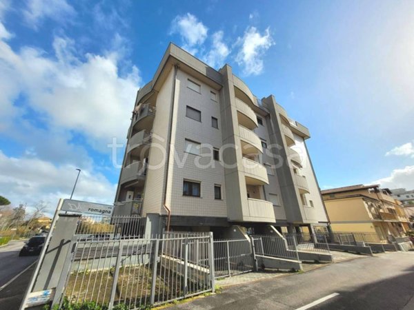 appartamento in affitto a Nettuno