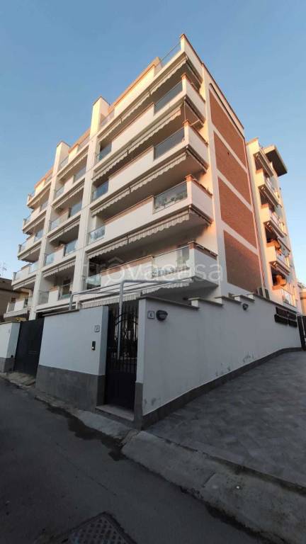 appartamento in affitto a Nettuno