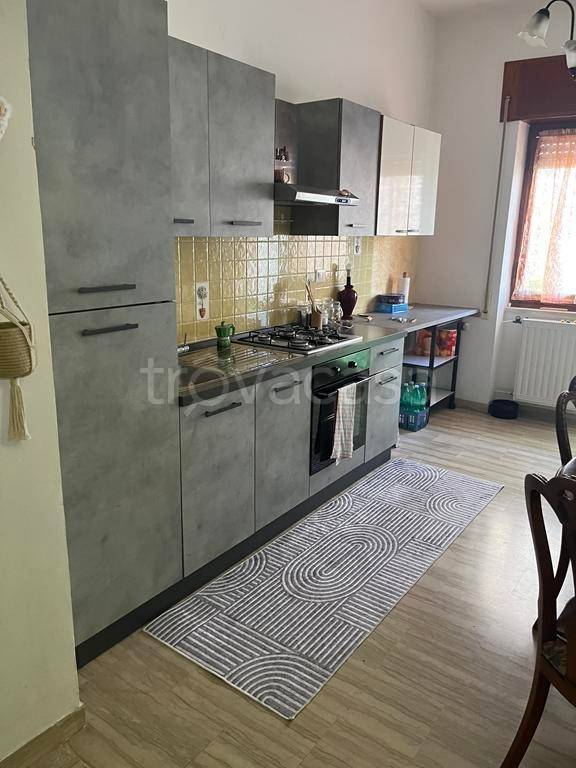 appartamento in affitto a Nettuno