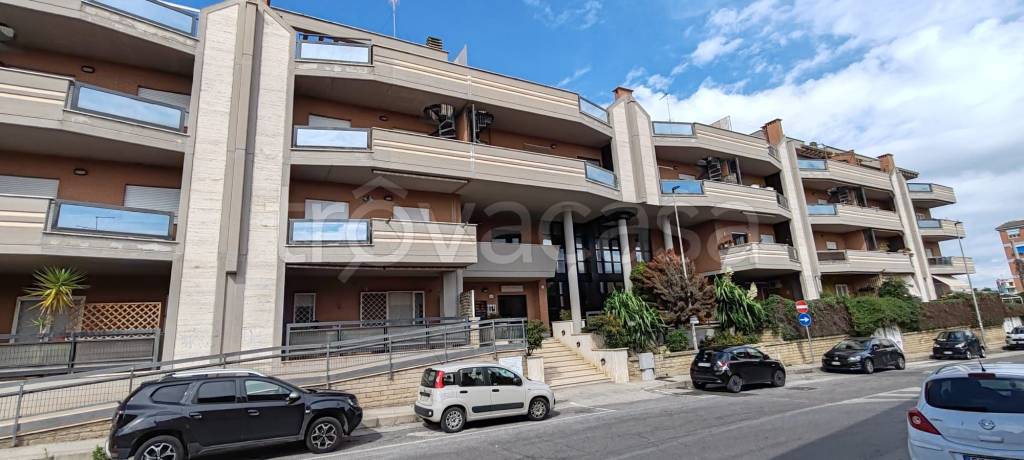 appartamento in affitto a Nettuno