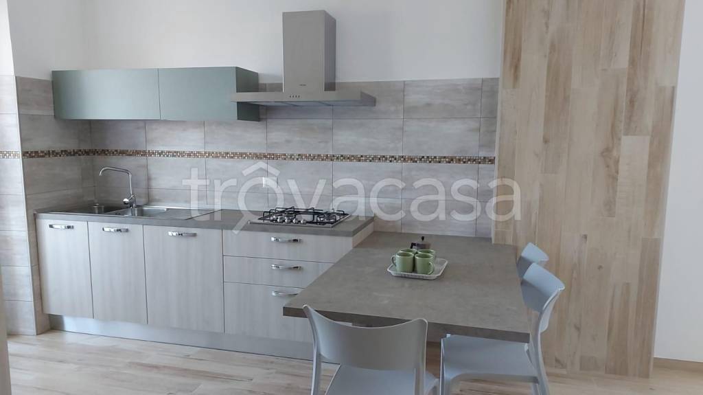 appartamento in affitto a Nettuno