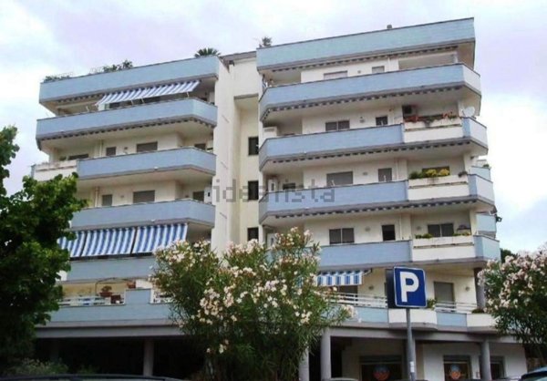 appartamento in affitto a Nettuno