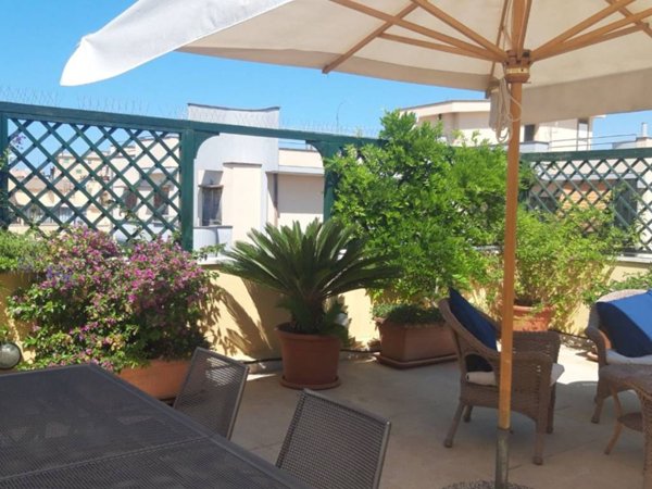 appartamento in affitto a Nettuno