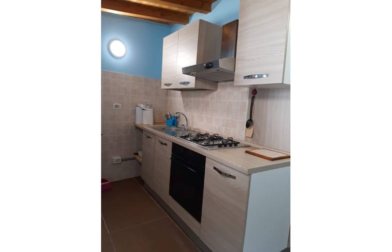 appartamento in affitto a Nettuno