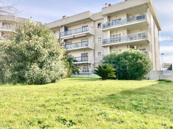 appartamento in affitto a Nettuno