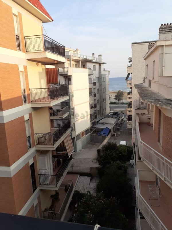 appartamento in affitto a Nettuno