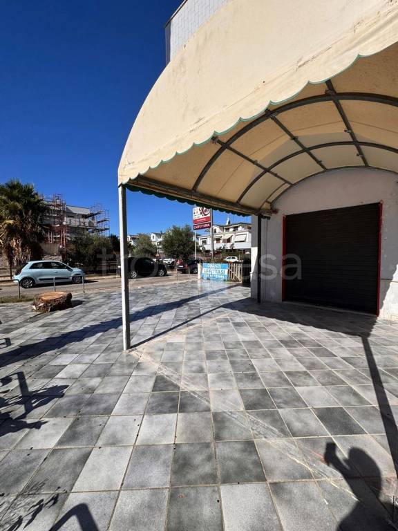 negozio in affitto a Nettuno