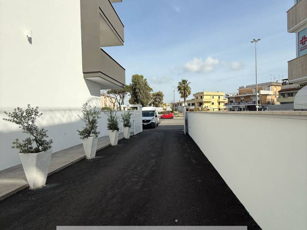 appartamento in affitto a Nettuno