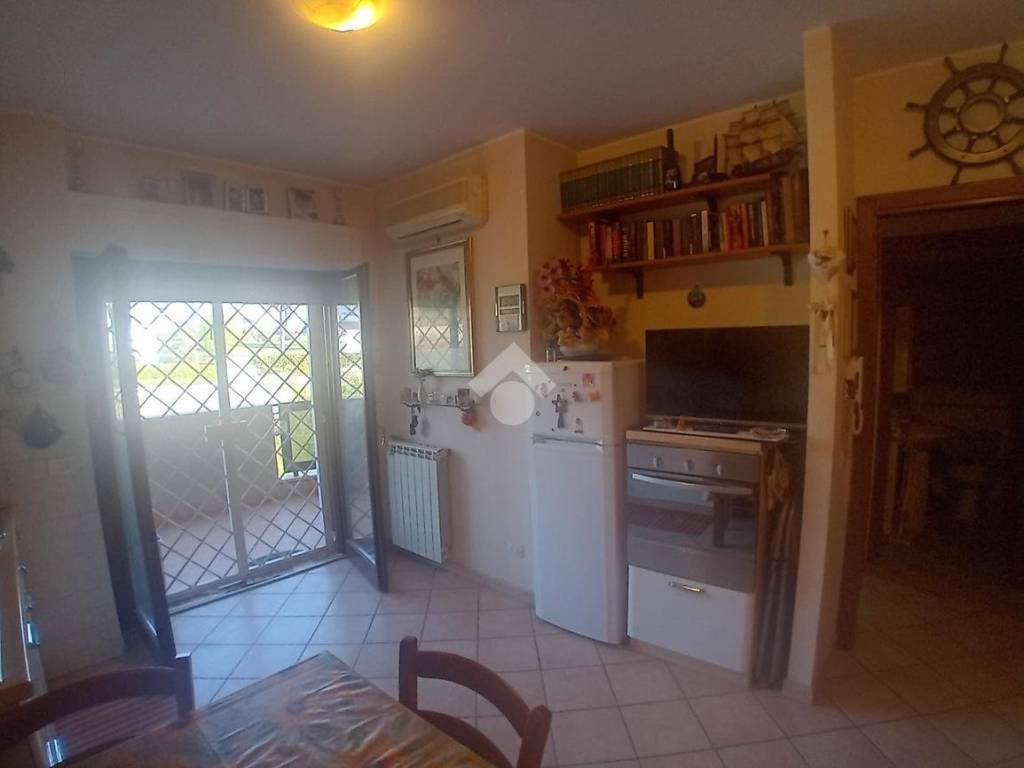 appartamento in affitto a Nettuno