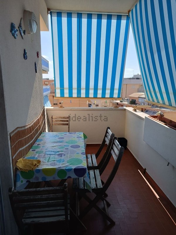 appartamento in affitto a Nettuno